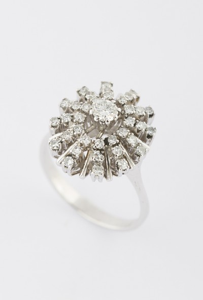Wit gouden dubbele entourage ring met briljant en diamant