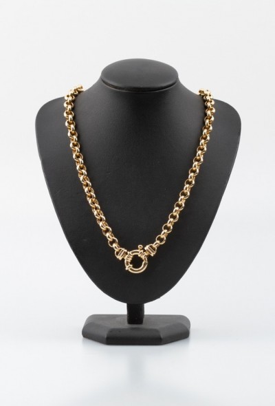 Gouden jasseron collier